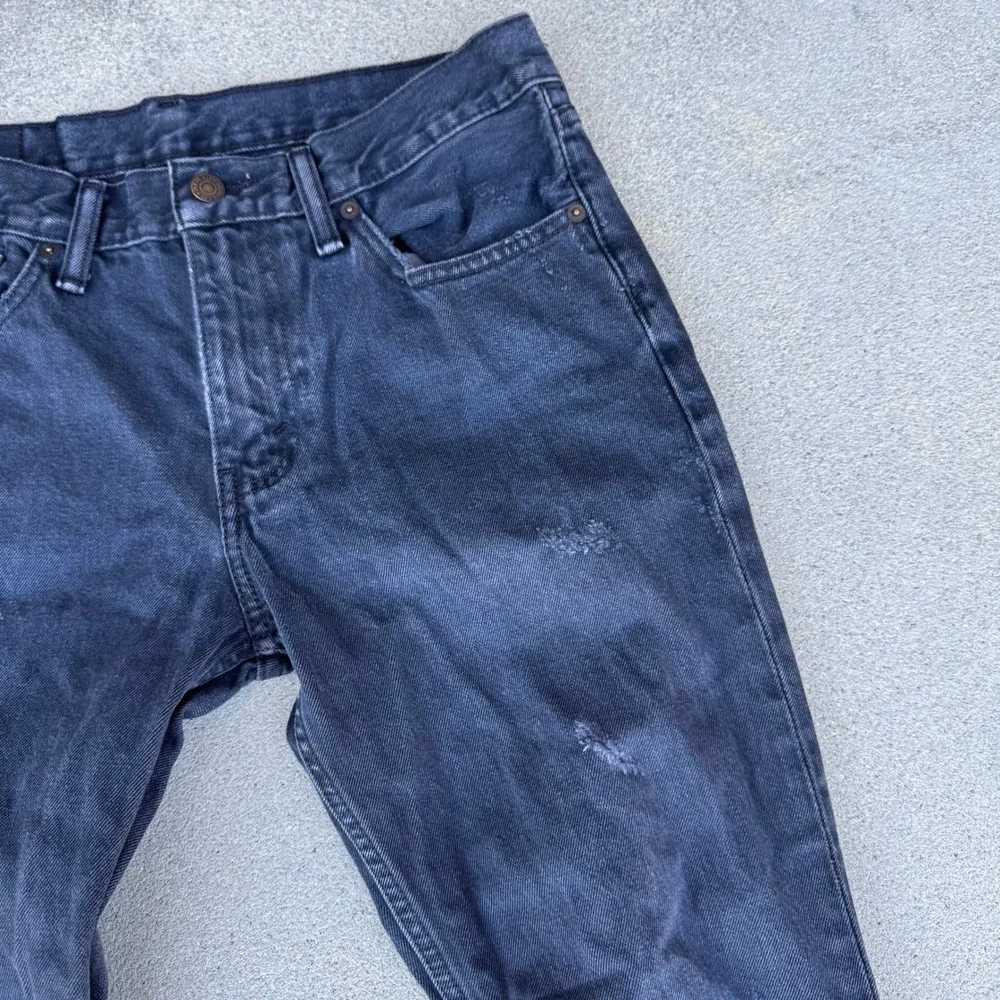 Levis levis 511